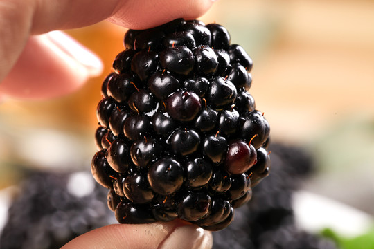 黑莓鲜果