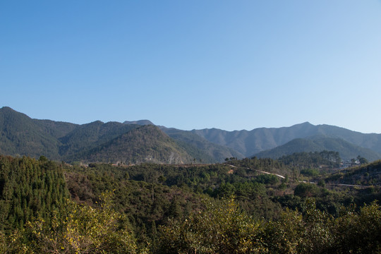 山峰森林