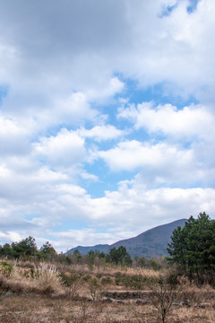 山地森林