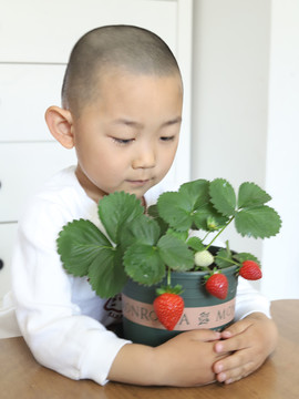孩子抱着一盆植物