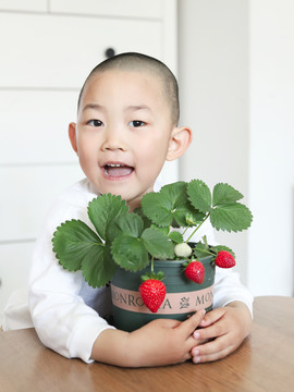 男童抱着一盆草莓
