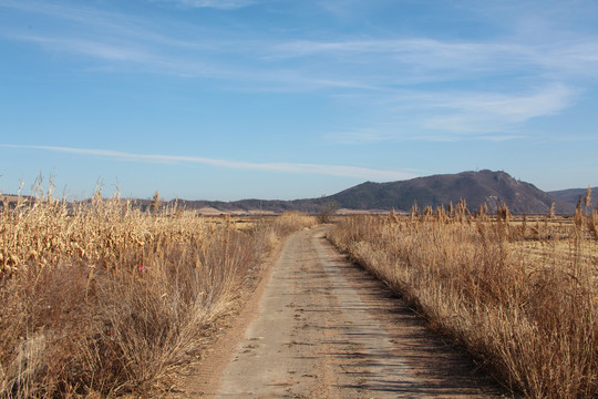 田间道