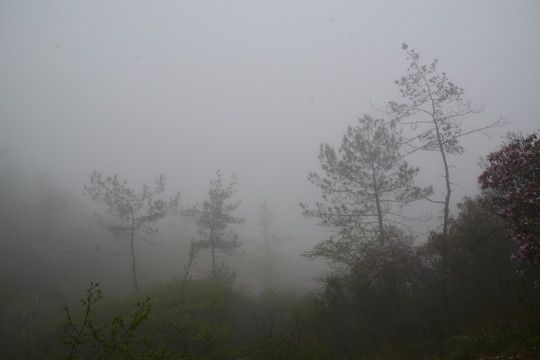 云雾中的山色
