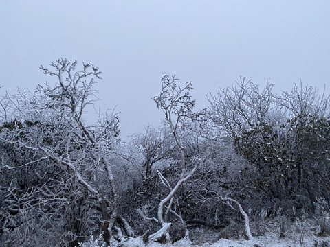 雪景