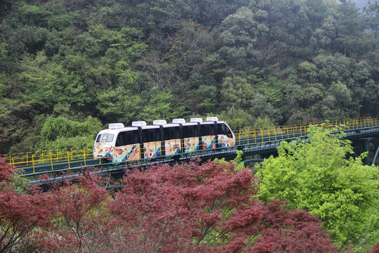 山林观光列车