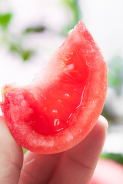 大凉山沙瓤西红柿