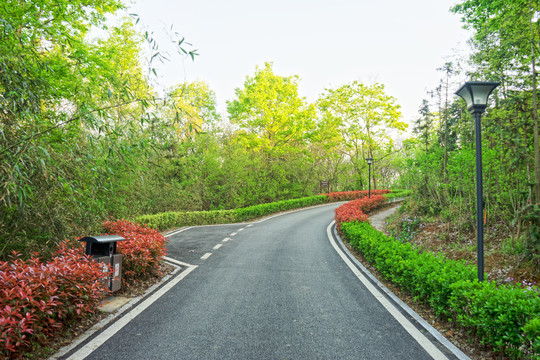 林间公路