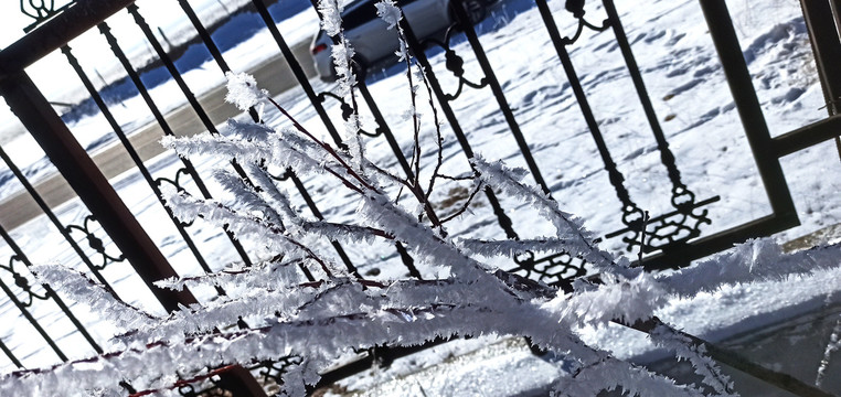 冰天雪地