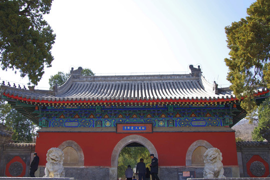 北京三大花卉寺庙之大觉寺