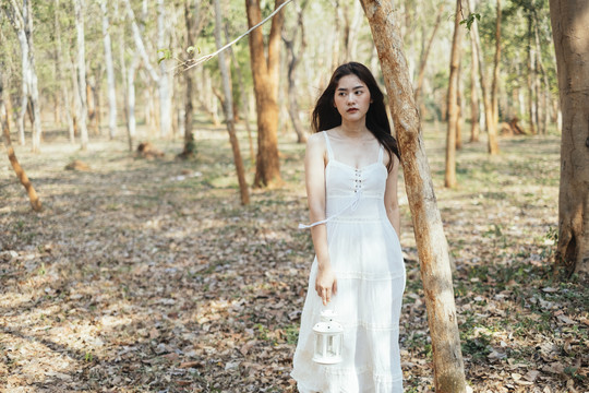 美丽的年轻女子身穿优雅的白色礼服，手持白色复古灯笼站在秋林的树旁。