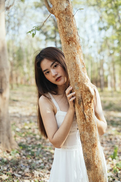 美丽的年轻女子穿着优雅的白色连衣裙，在秋天的时候抚摸着森林里的一棵树。抱着树的女孩。