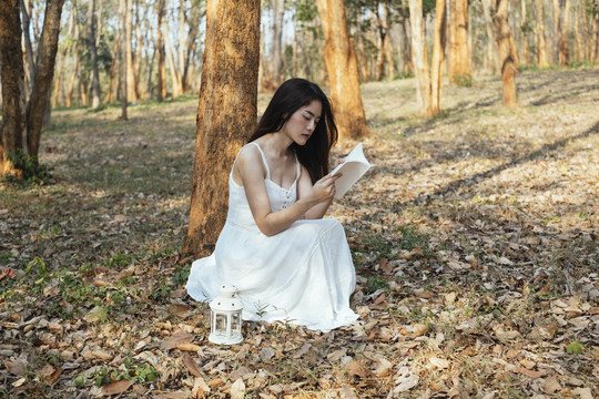 美丽的年轻女子穿着优雅的白裙坐在森林里，看书，放上复古的白灯笼。