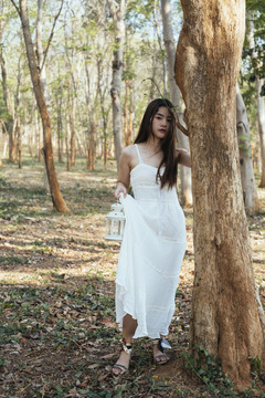 美丽的年轻女子身穿优雅的白裙，提着白灯笼在森林中漫步，站在一棵树旁。