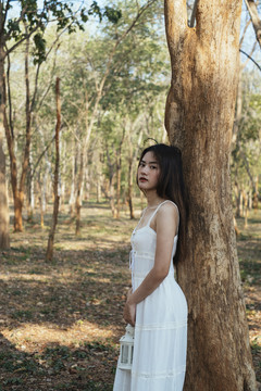 美丽的年轻女子穿着优雅的白色连衣裙，提着白色灯笼倚在树上。