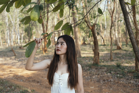 穿着白色连衣裙的亚洲年轻女子抚摸着树上的树枝。