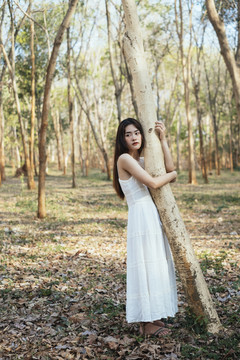美丽的年轻女子穿着优雅的白色连衣裙拥抱着森林里的一棵树。