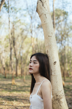美丽的年轻女子，穿着优雅的白裙，倚在秋林中的一棵树上。