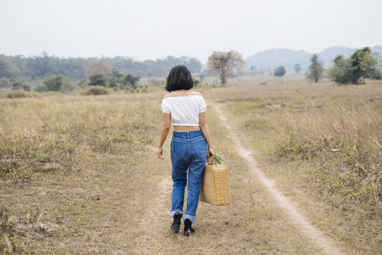 背景——来自首都的孤独女孩提着装满午餐的篮子走向田野。