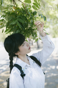 留着辫子和流苏头发的女学生抓住那朵白花看。