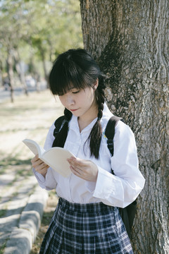 留着辫子和流苏头发的女学生在树上看书。