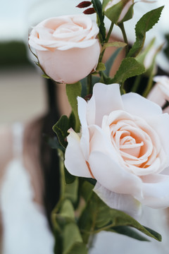 近距离拍摄新娘手上盛开的白玫瑰花束。