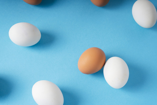 顶视图-蓝色背景上的棕色和白色鸡蛋。
