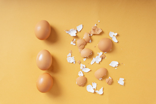 俯视图-煮鸡蛋和鸡蛋壳。