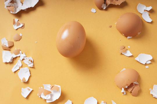 俯视图-煮鸡蛋和鸡蛋壳。