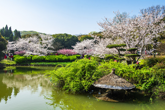 春暖花开