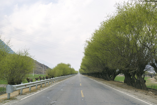 公路