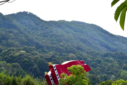 高潭老苏区革老区命建党100周