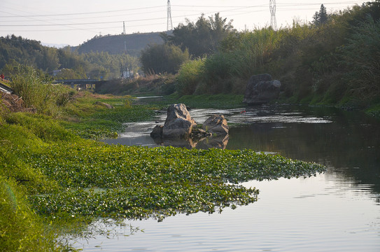 乡村河流