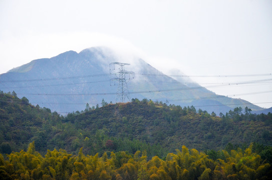 雨雾山林