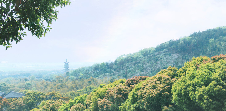 无锡灵山景区远眺