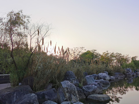 成都锦城湖湿地公园