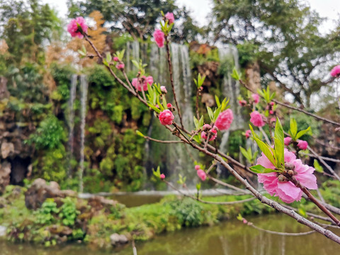 成都百花潭公园