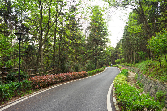 景区道路