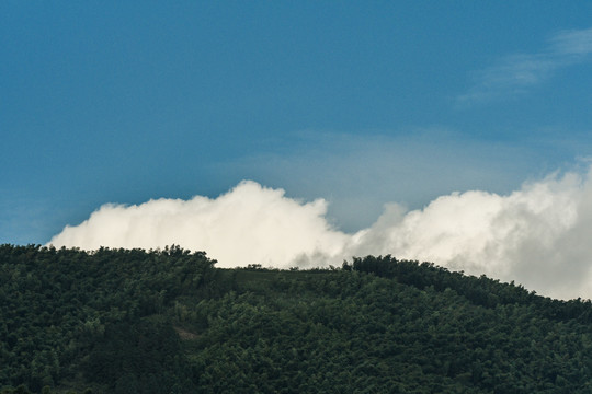 山林风光