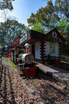 上海共青国家森林公园小火车