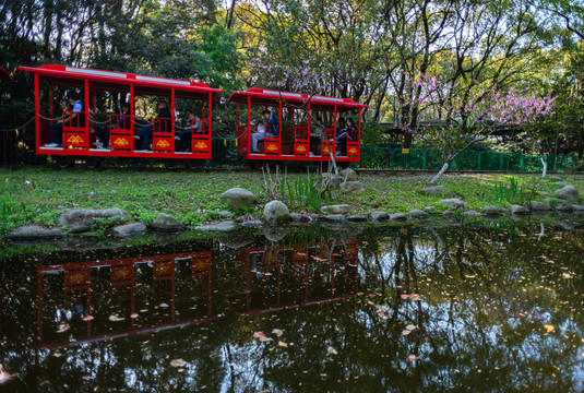 上海共青国家森林公园森林小火车
