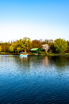 上海共青国家森林公园景色景观