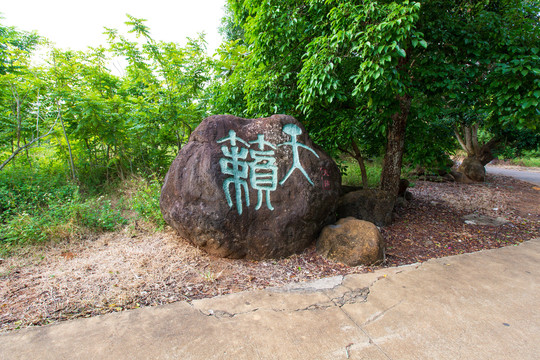 湛江市徐闻县龙泉森林公园石雕