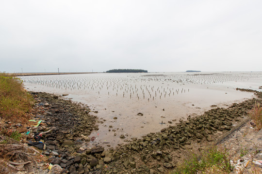 广东湛江市徐闻县炮台角海边