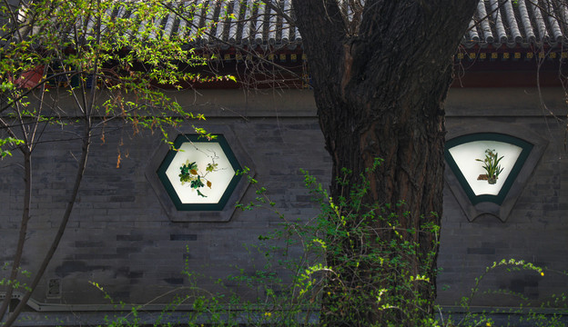 北京大学的花窗