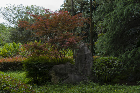 重庆师范大学