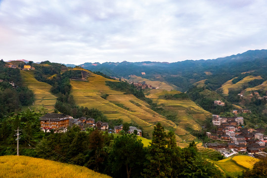 阳朔梯田