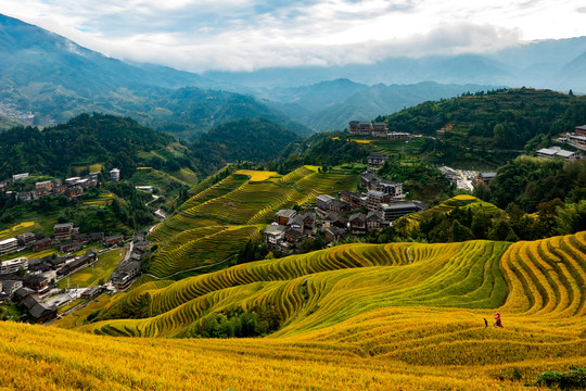 阳朔梯田