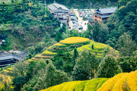 阳朔梯田