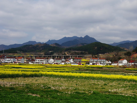 美丽的乡村