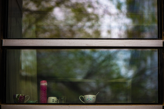 窗口的水杯茶碗和绿树荫